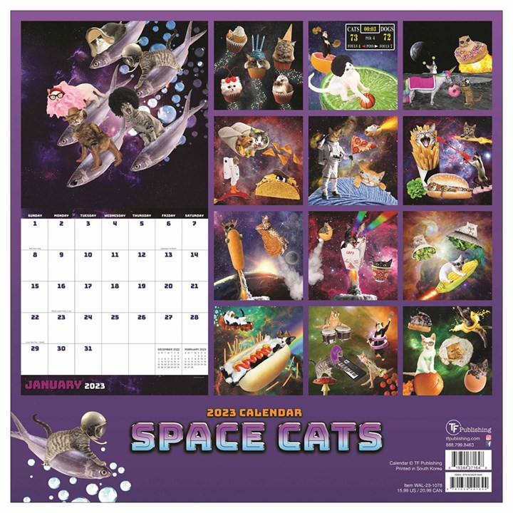 Space Cats Calendar 2023