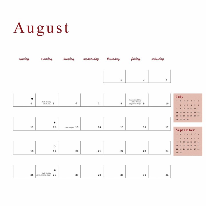 Anne Taintor Calendar 2024