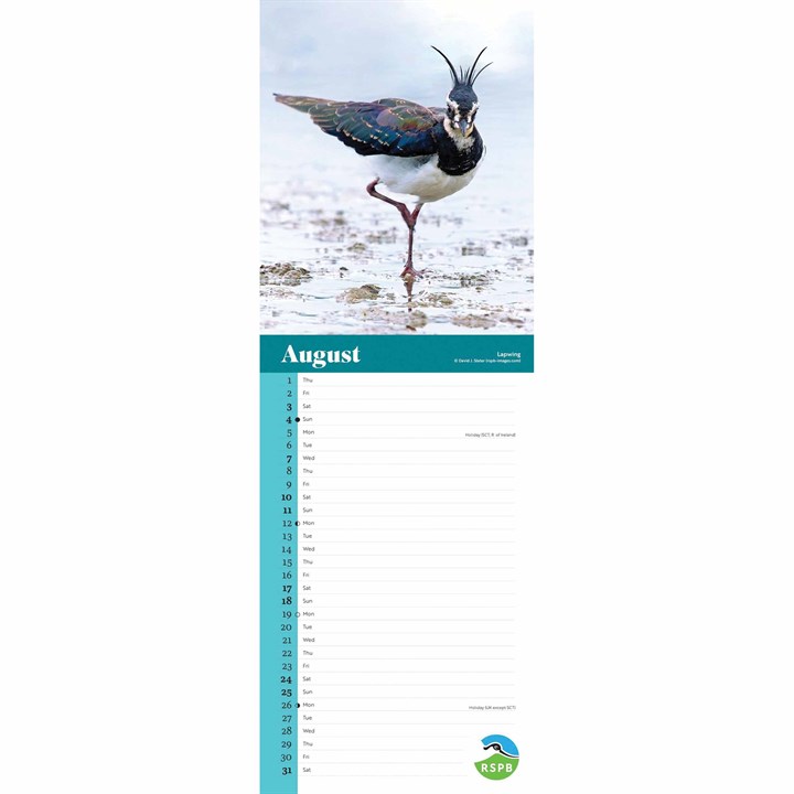 RSPB, Birds Slim Calendar 2024