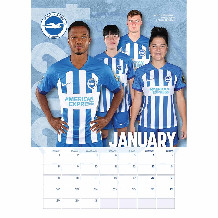 Brighton & Hove Albion FC A3 Calendar 2024