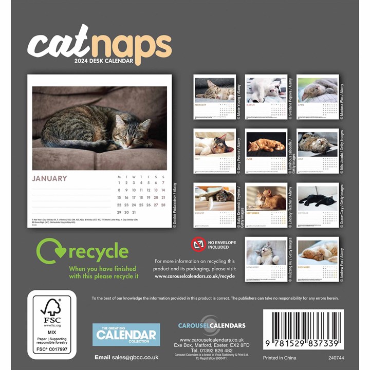 Cat Naps Easel Desk Calendar 2024