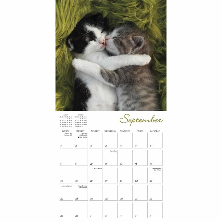 Cat Naps Calendar 2024