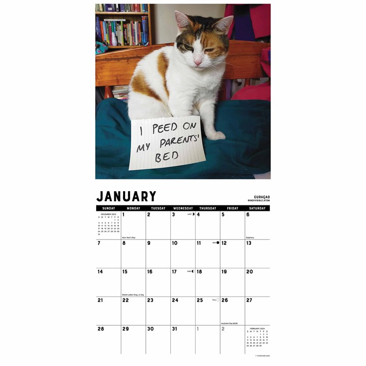 Cat Shaming Calendar 2024