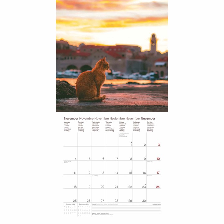 312816 Cats Around The World Calendar Ins 