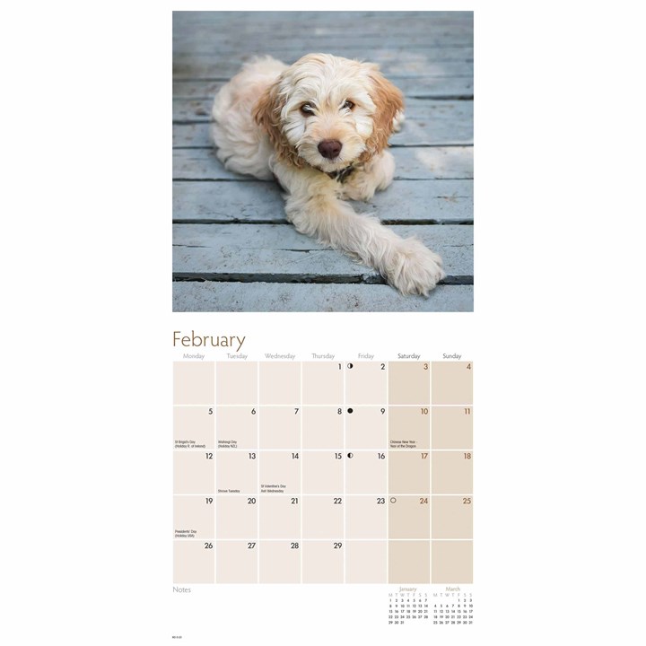 Cockapoo Puppies Mini Calendar 2024