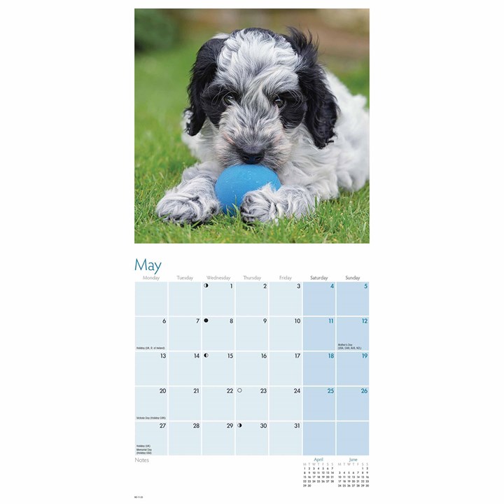 Cockapoo Puppies Mini Calendar 2024