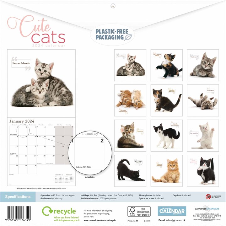 Cute Cats Calendar 2024 1750