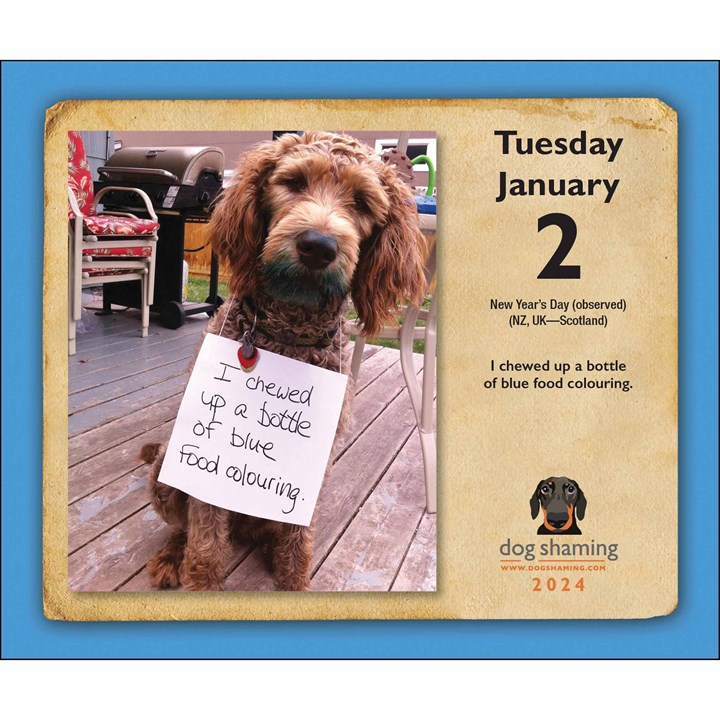 Dog Shaming Desk Calendar 2024