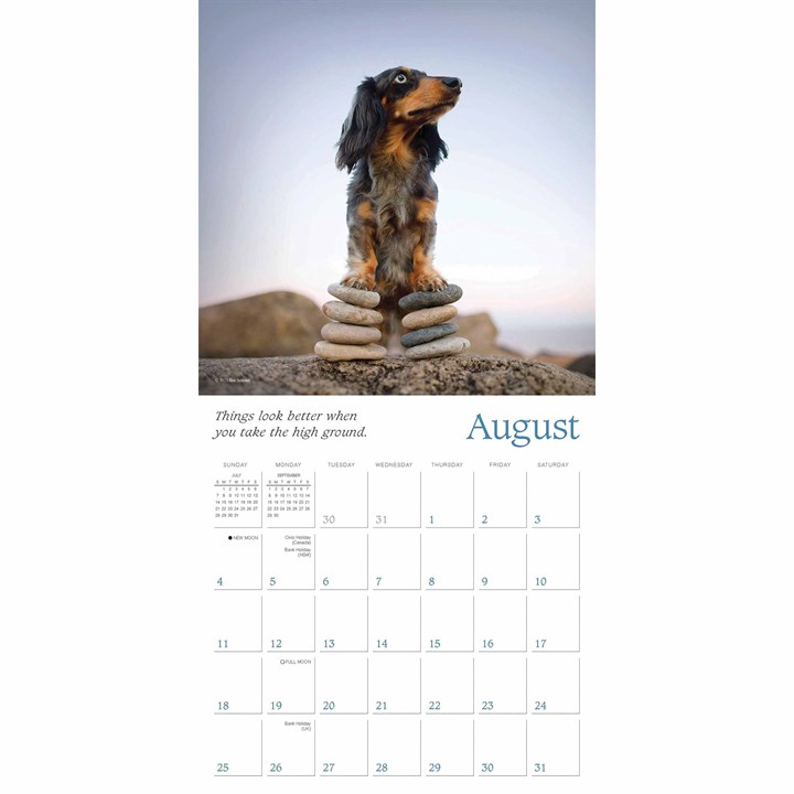Dogma Calendar 2024