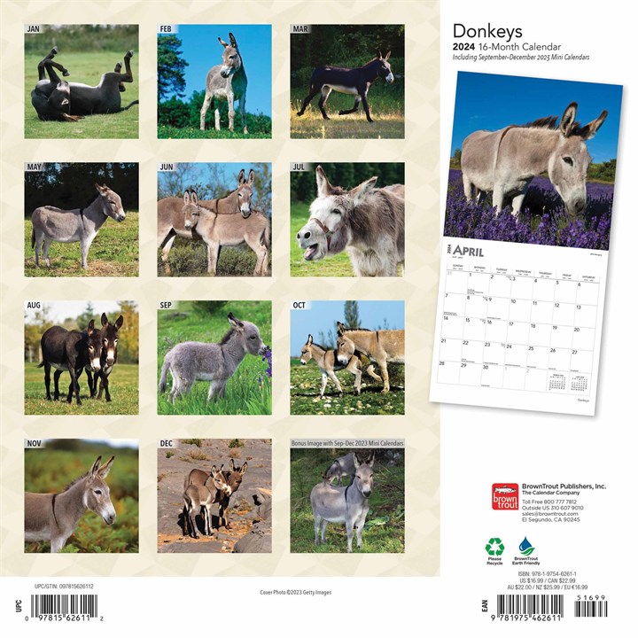 Donkeys Calendar 2024