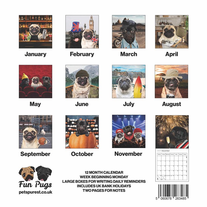 Fun Pugs Calendar 2024