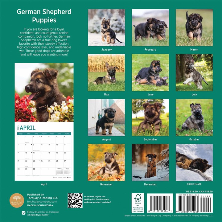 German Shepherd Puppies Calendar 2024   313469 German Shepherd Puppies Calendar Back 