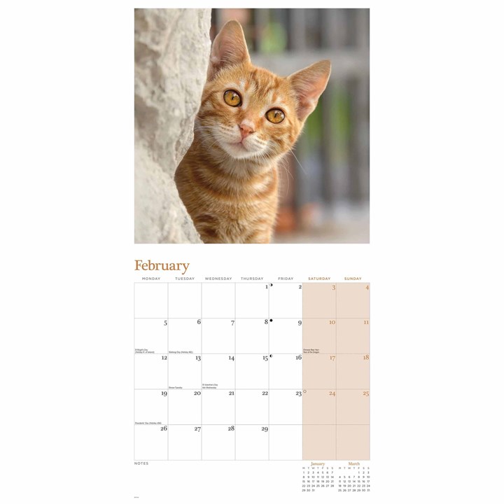 Ginger Cats Calendar 2025