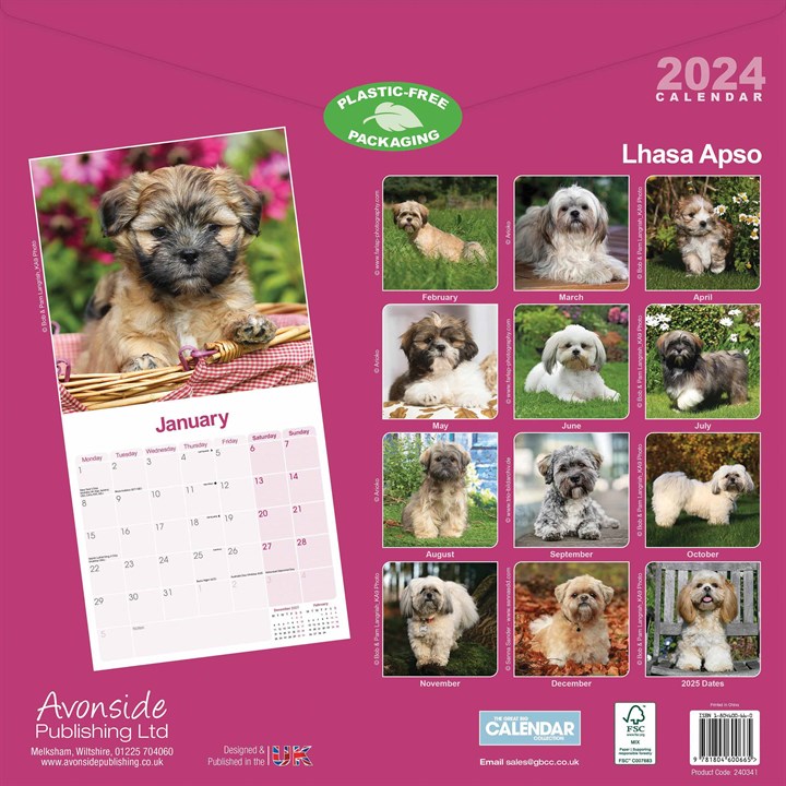 Lhasa Apso Calendar 2024