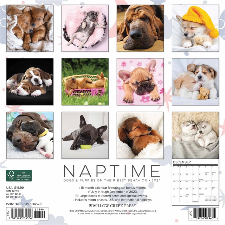 Naptime Dogs Calendar 2024