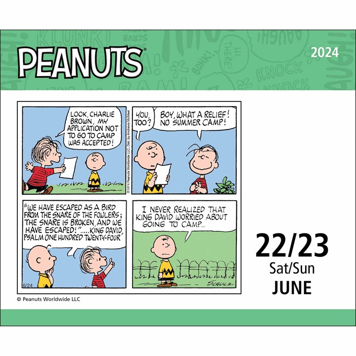 Peanuts Desk Calendar 2024