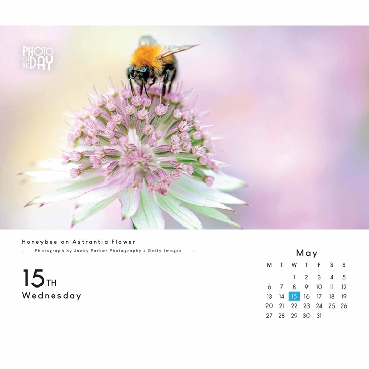 Photo Of The Day Desk Calendar 2024