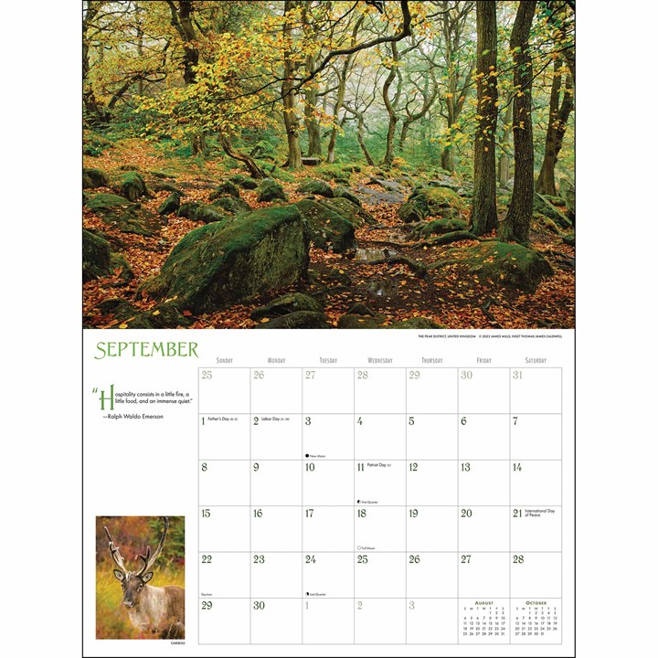 Into The Woods Deluxe Calendar 2024