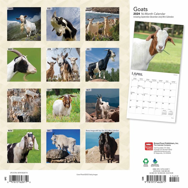 Goats Calendar 2024   314616 Goats Calendar Back 