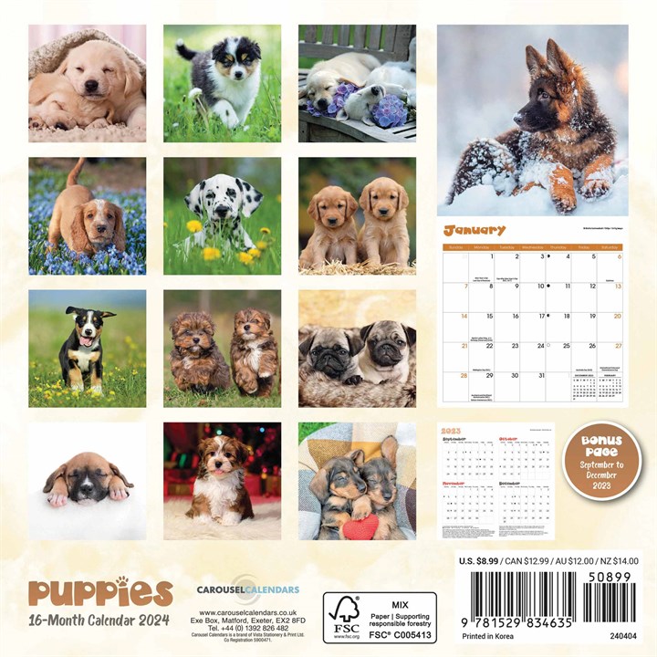 Puppies Mini Calendar 2024
