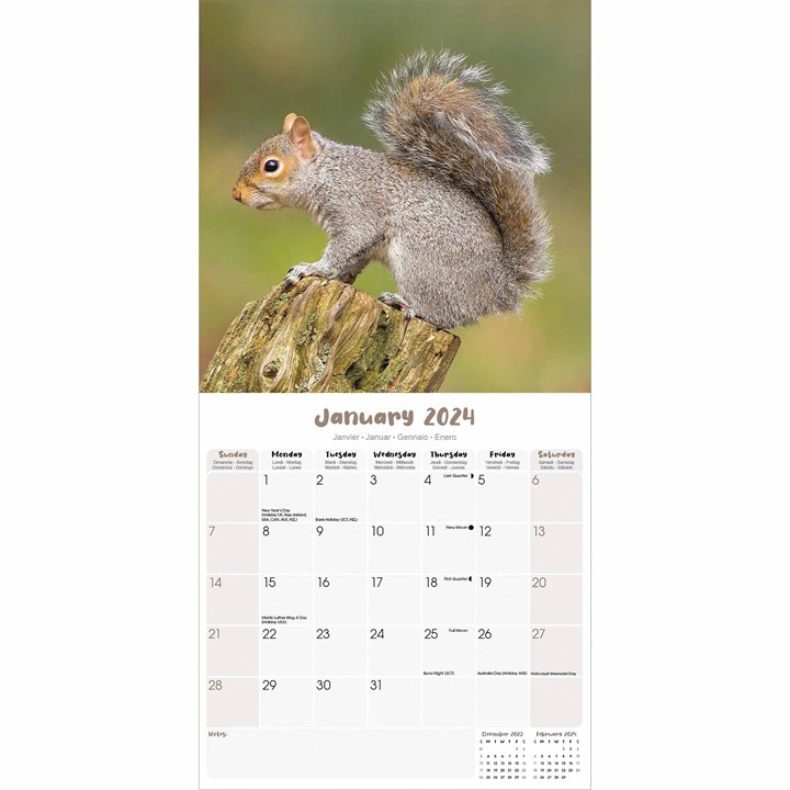 Squirrels Calendar 2024