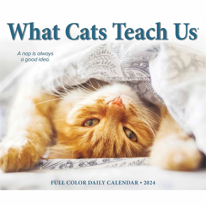 What Cats Teach Us Desk Calendar 2024