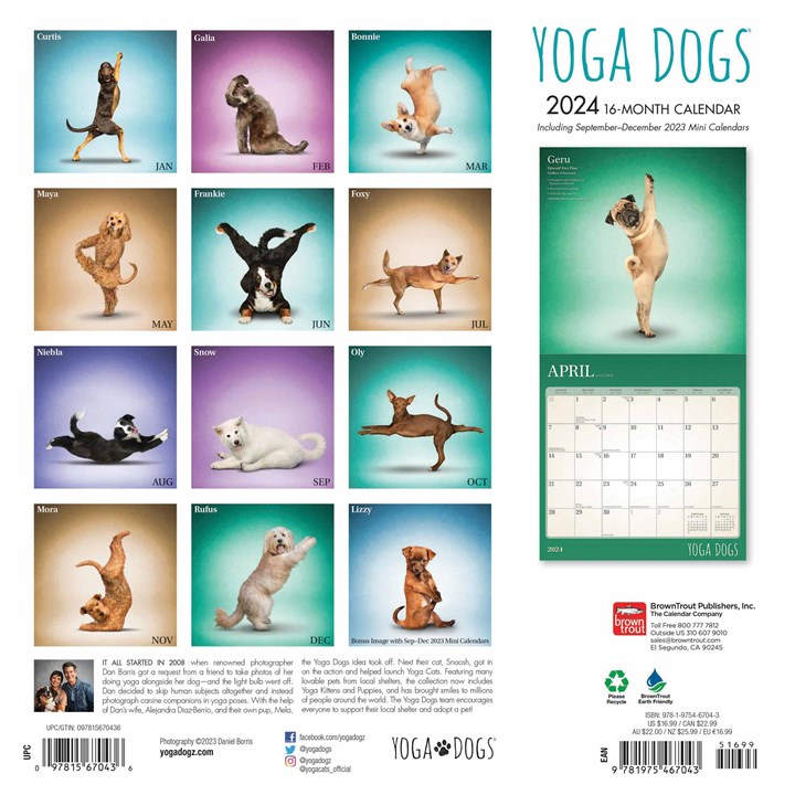 Yoga Dogs Calendar 2024