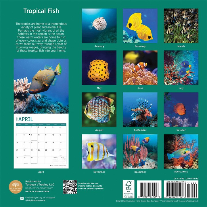 Tropical Fish Calendar 2024