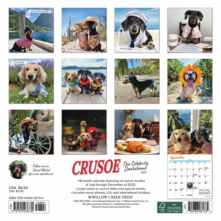 Crusoe The Dachshund Mini Calendar 2024