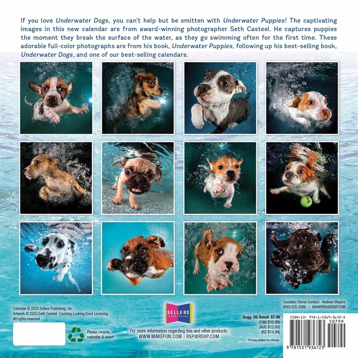 Underwater Puppies Mini Calendar 2024