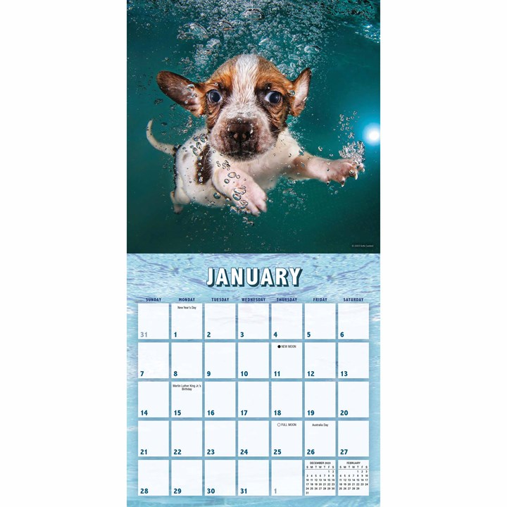 Underwater Puppies Mini Calendar 2024