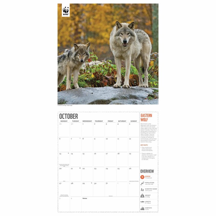 WWF, Amazing Wildlife Calendar 2025