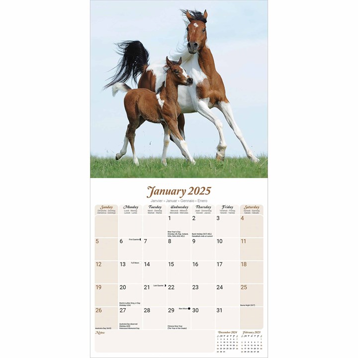 Arabian Horses Calendar 2025