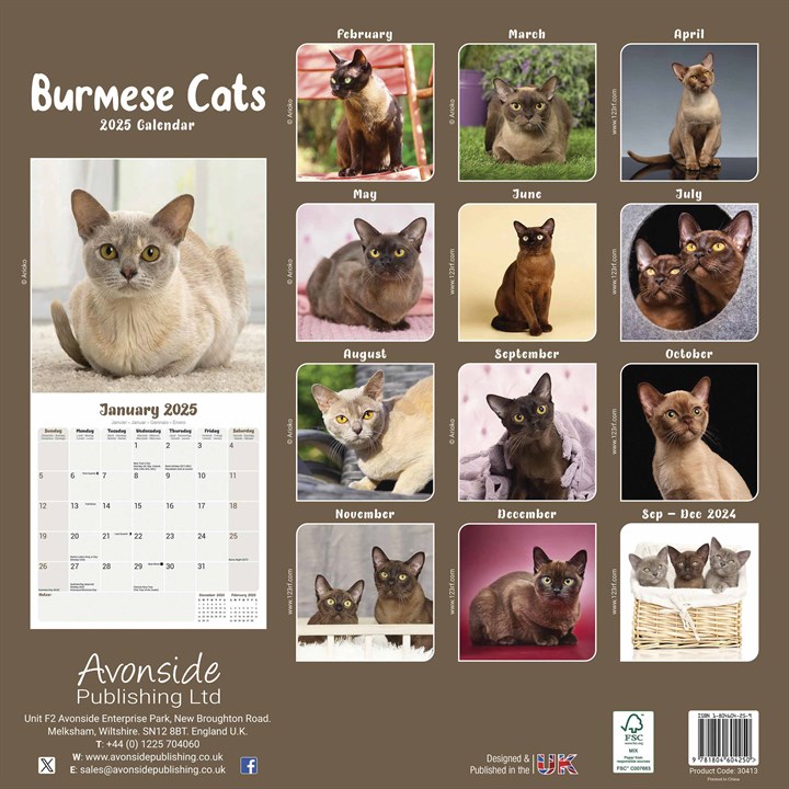 Burmese Cats Calendar 2025