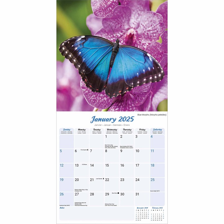 Butterflies Calendar 2025