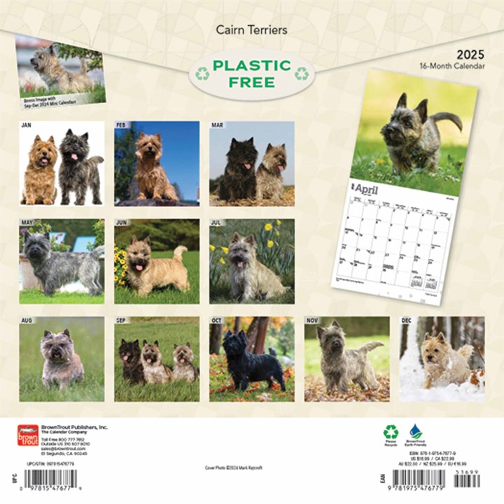 Cairn Terriers Calendar 2025