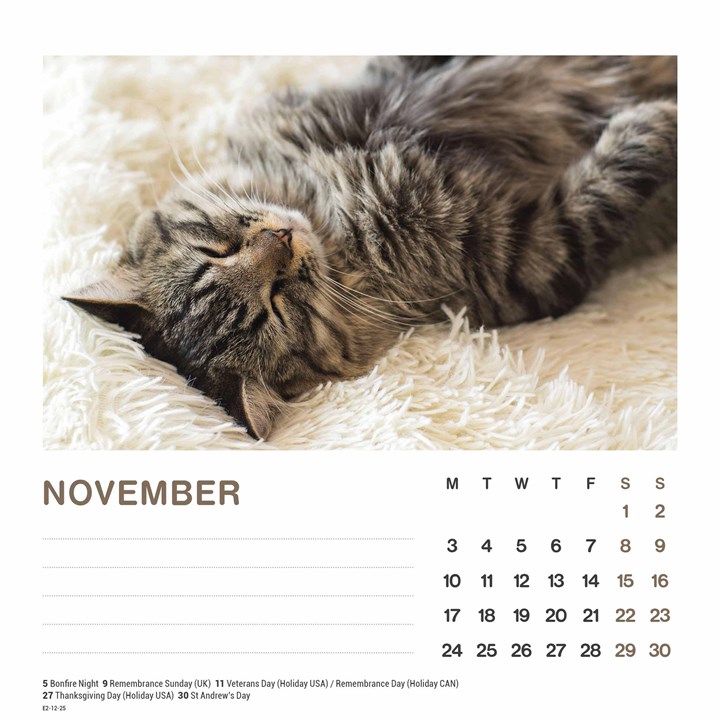 Cat Naps Easel Desk Calendar 2025