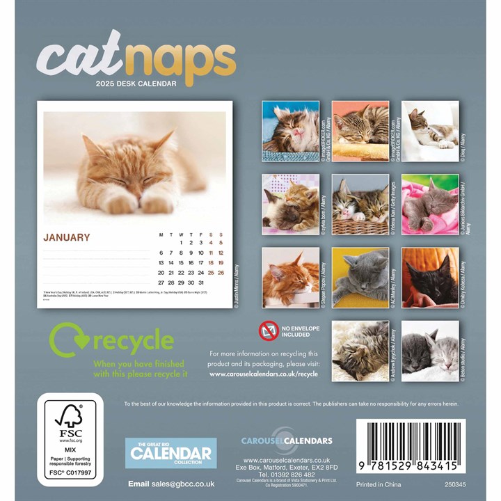 Cat Naps Easel Desk Calendar 2025