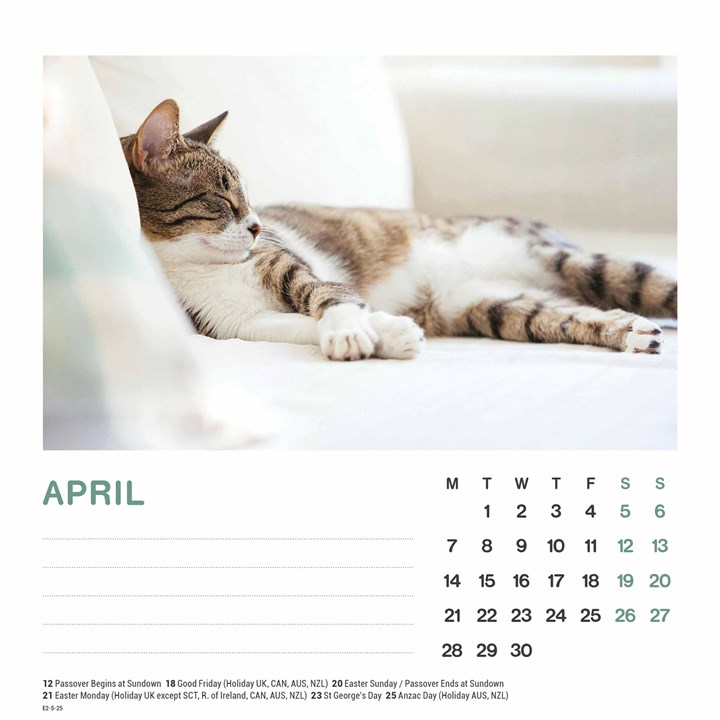 Cat Naps Easel Desk Calendar 2025