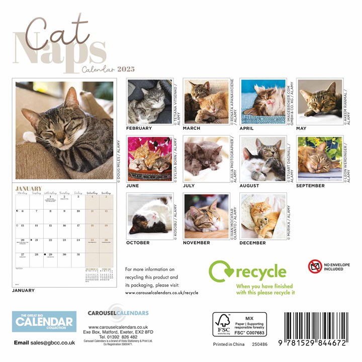 Cat Naps Mini Calendar 2025