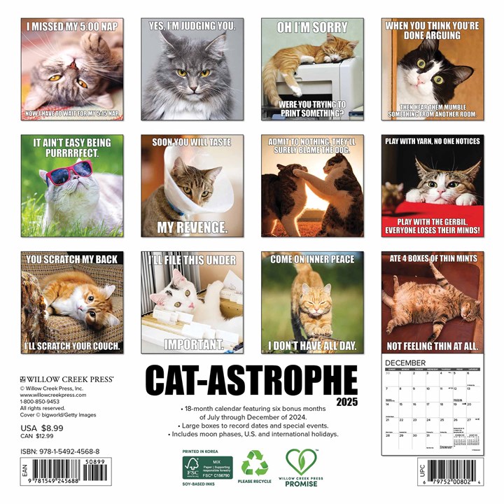 Catastrophe Mini Calendar 2025