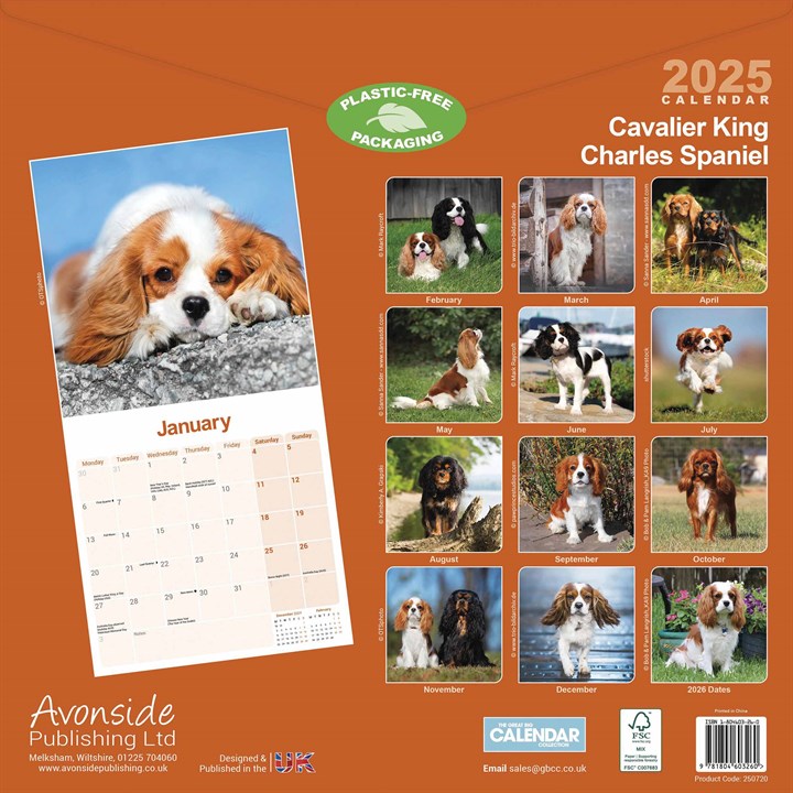 Cavalier King Charles Spaniel Calendar 2025