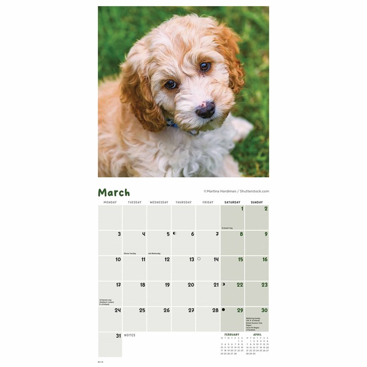 Cockapoo Puppies Mini Calendar 2025