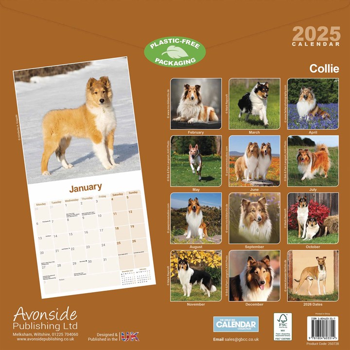 Collie Calendar 2025