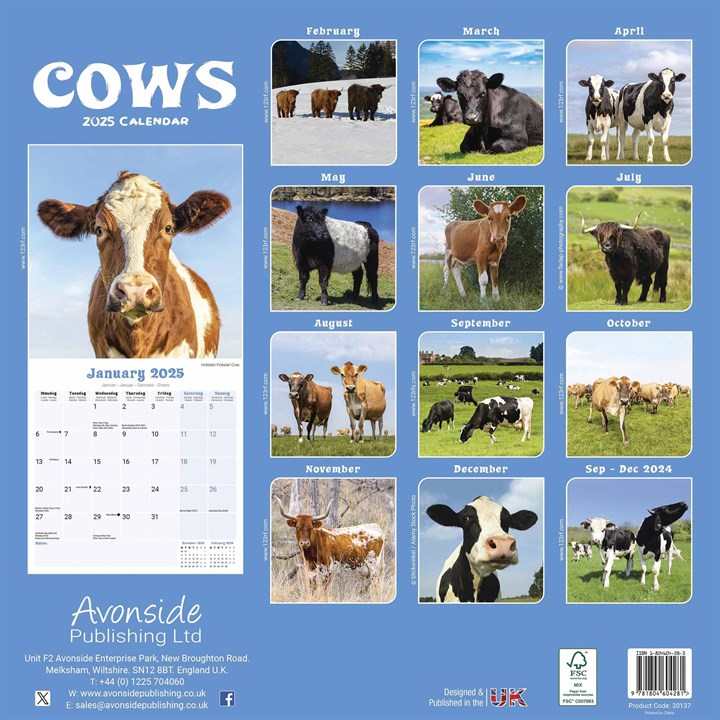 Cows Calendar 2025