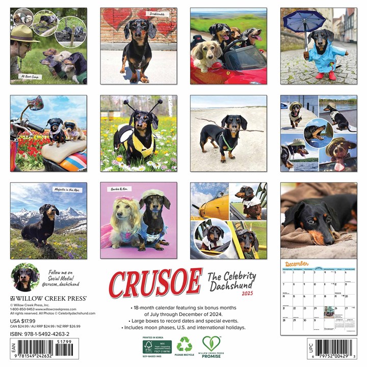 Crusoe The Dachshund Calendar 2025