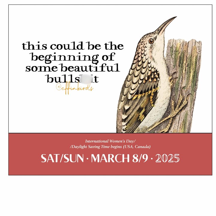 Effin' Birds Desk Calendar 2025