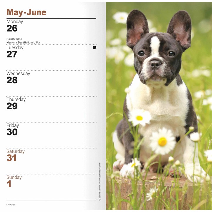 French Bulldog Slim Diary 2025