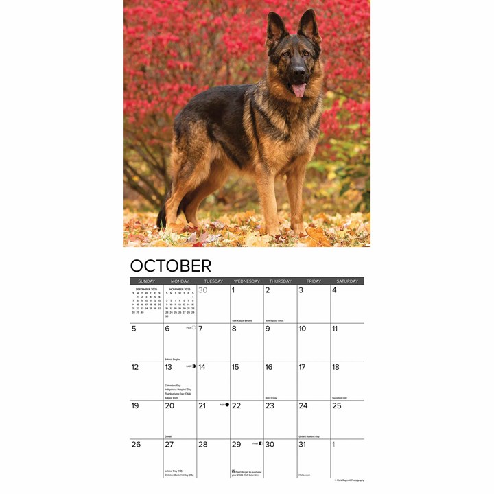 German Shepherds Calendar 2025