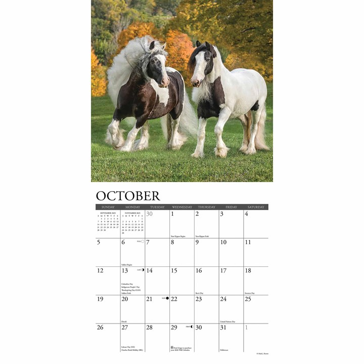 Gypsy Vanner Horse Calendar 2025